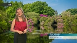 World Forecast