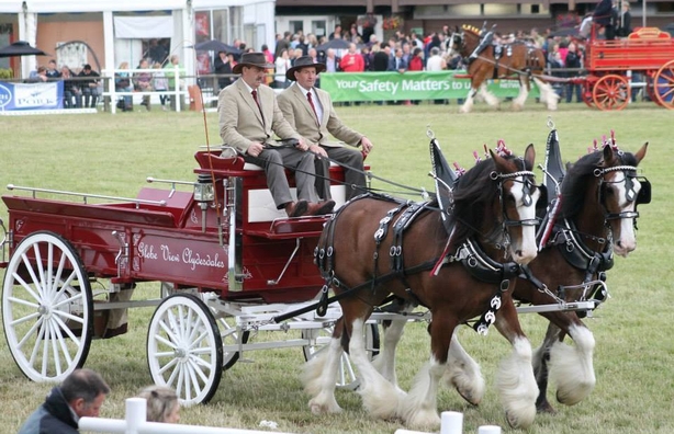 Castlerock Clydesdale Show & Funday