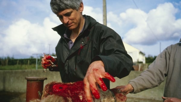 Nan Goldin, 'Gerald with bloody hand' - an image from her new show at IMMA.