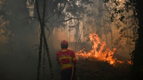 Portuguese Prime Minister described the fires as the 'biggest human tragedy in Portugal in living memory'
