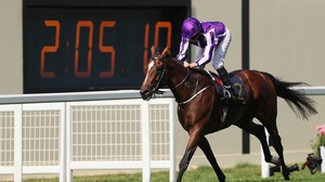 Highland Reel makes a final bow in the Longines Hong Kong Vase