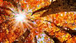 Earth's Great Seasons