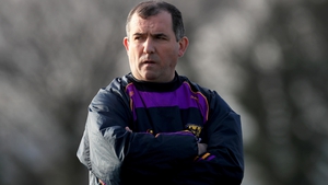 Seamus McEnaney lasted just one year in Wexford