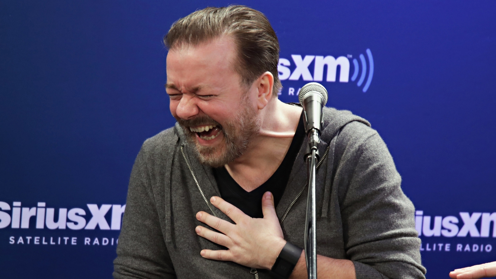 Ricky Gervais calls Dublin gig 'best of the tour'