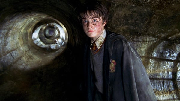 Daniel Radcliffe as the boy wizard