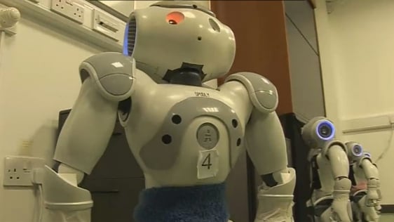 Robots at NUI Maynooth (2012)