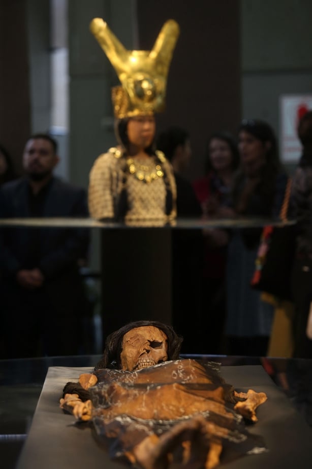 3-D printer reconstructs face of Peruvian mummy