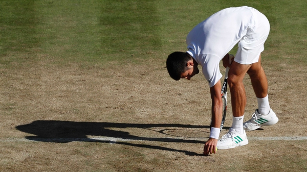 Djokovic picks up a piece of loose turf from the Wimbledon centre court