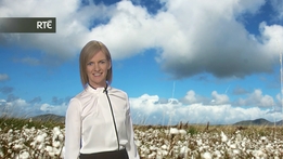 Six One Weather
