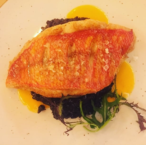 Sea bass served at Mijo Minibar