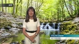 Six One Weather