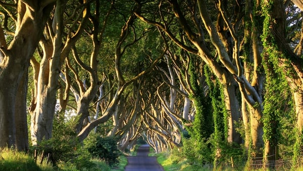 The Dark Hedges featured as The King's Road in the series