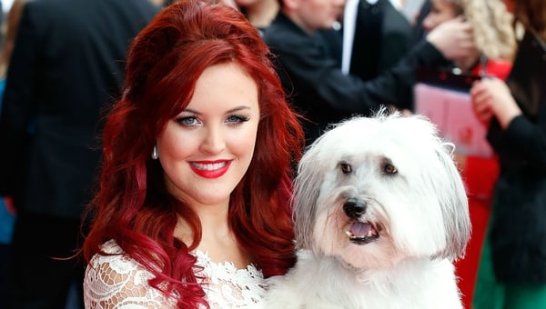 Pudsey won Britain's Got Talent alongside owner Ashleigh in 2012