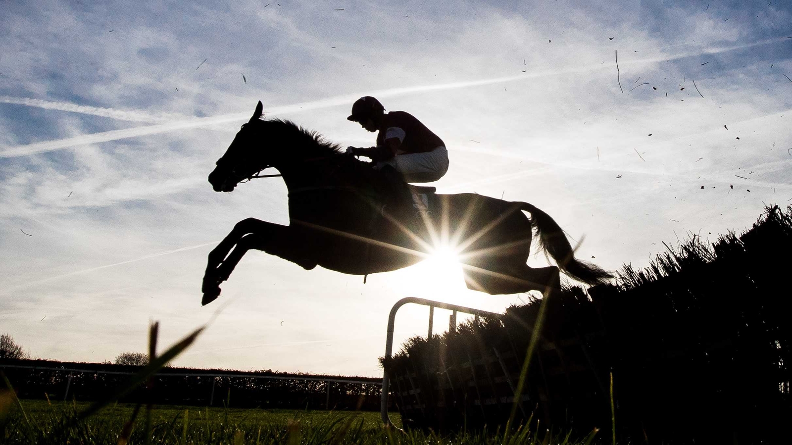 Controversy as the wrong horse wins Yarmouth race