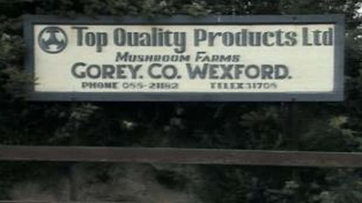 RTÉ Archives Collections 150 Mushroom Farm Jobs Go