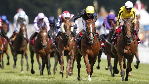 Stradivarius will now be aimed at the St Leger at Doncaster