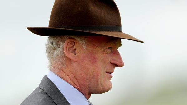 Willie Mullins' charge is an odds-on favourite for the Naas showpiece