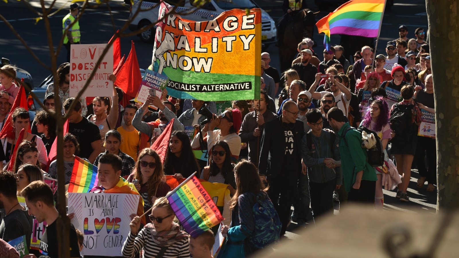 Australia To Hold Postal Vote On Same Sex Marriage 