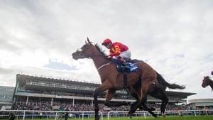 The Paris feature is on the agenda for Zhukova