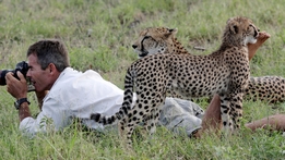 Cheetahs: Growing Up Fast