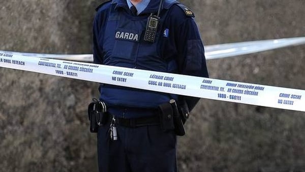 Gardaí on the beat will have rapid access to garda information on suspects