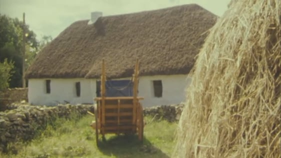 Cavan folk village