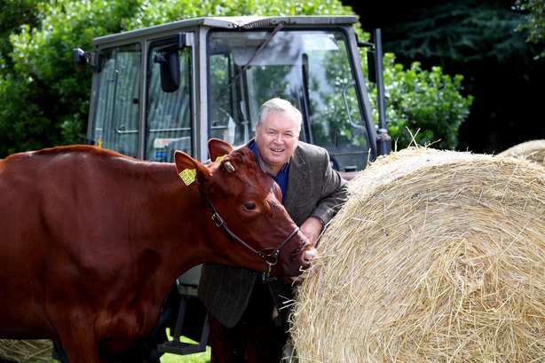 PLOUGHING 2017