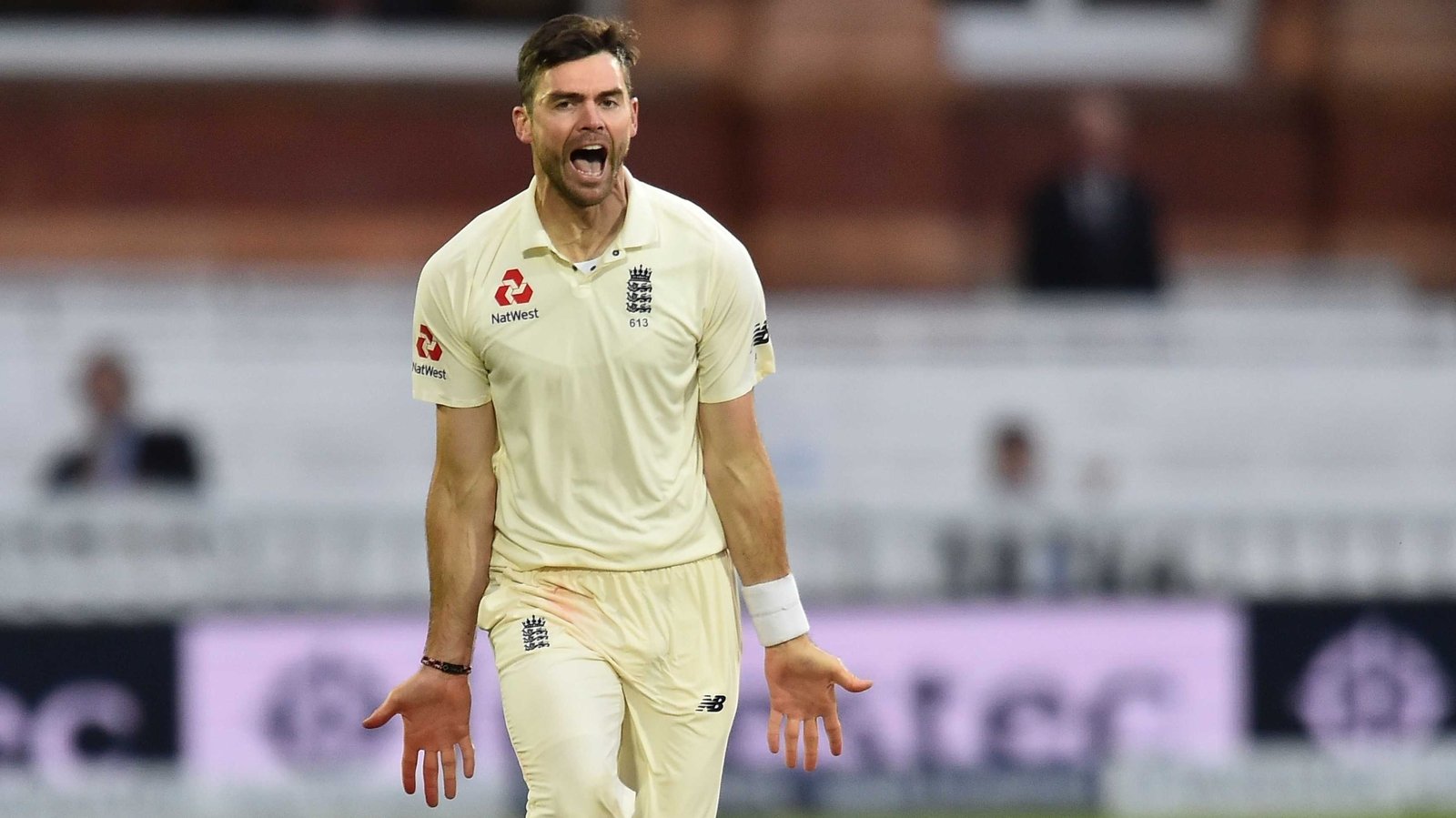 Anderson joins elite club after taking 500th wicket