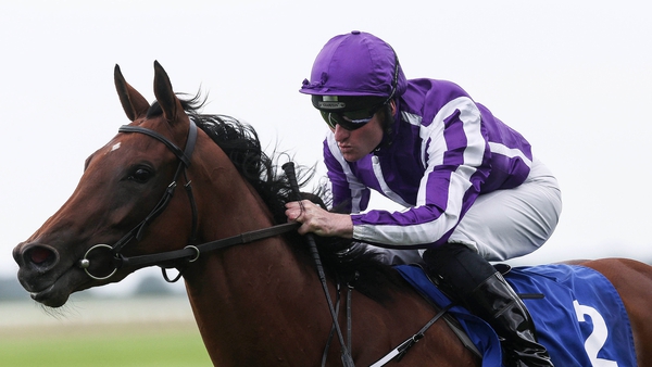 Hydrangea will go in the King George VI And Queen Elizabeth Stakes at Ascot