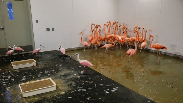 Zoo Miami