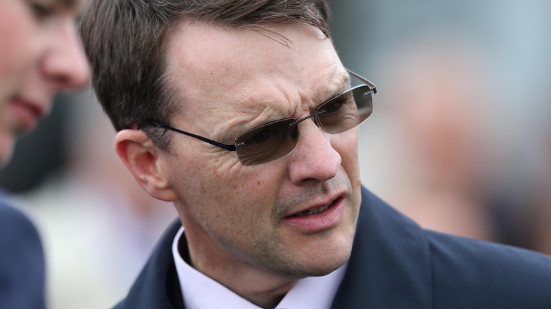 Aidan O'Brien's colt has seen its odds shorten for the 2000 Guineas