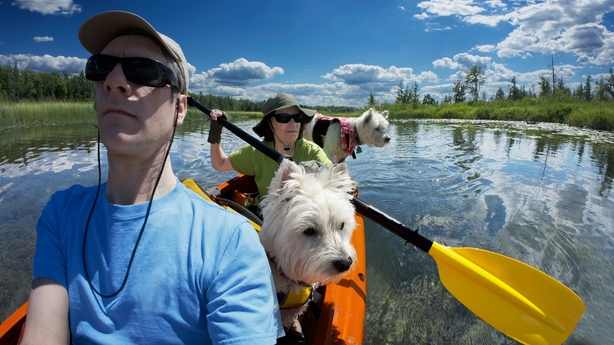 Looks like the dogs have life jackets but what about their owners?!