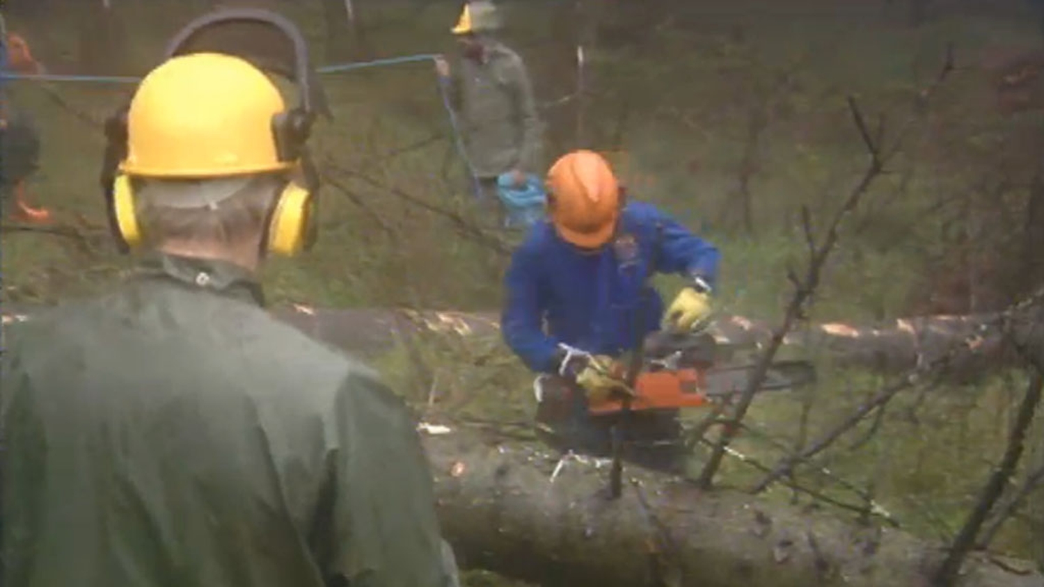 RTÉ Archives Environment All Ireland Chainsaw Competition