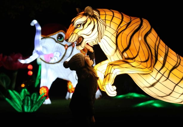 Wild Lights
