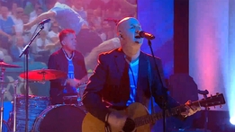 Picturehouse - Sunburst | Up For The Match