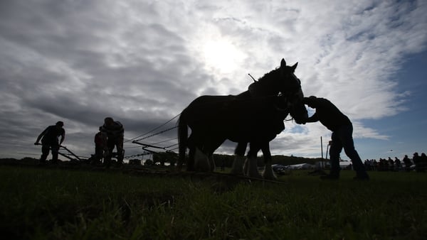 The National Ploughing Championships will be held from September 20-22 in Rathiniska in Co Laois