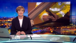 RTÉ News: Nine O'Clock