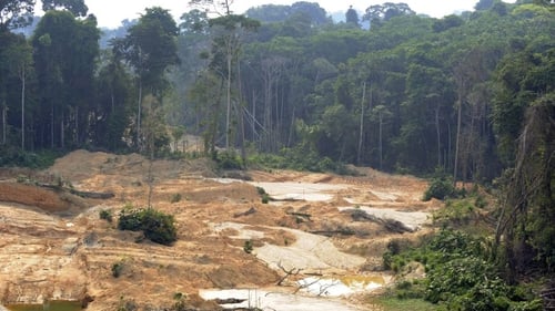 Deforestation caused by illegal gold mining in the Brazilian rainforest