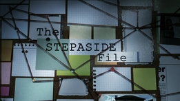 Stepaside Garda Station | Prime Time