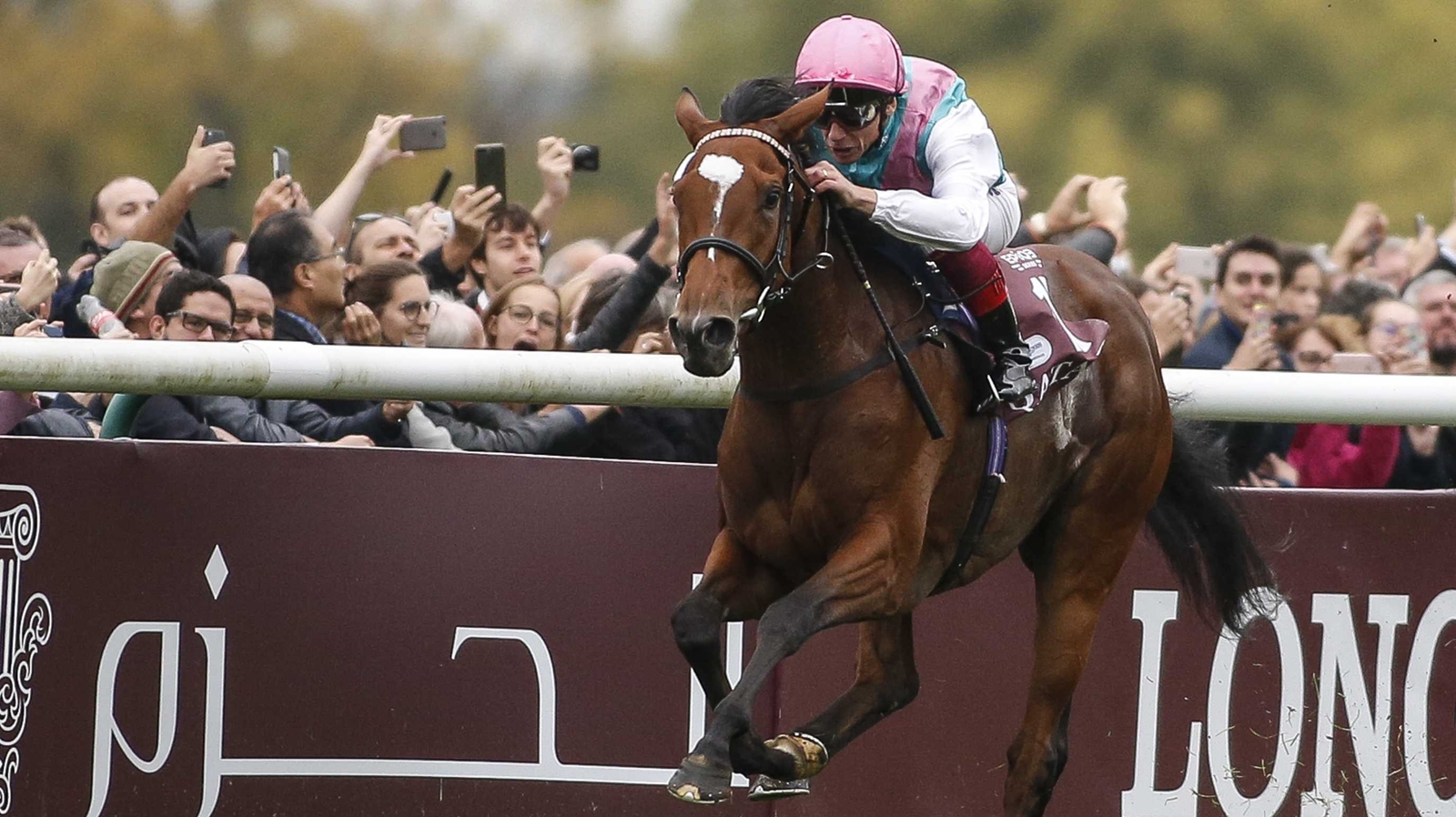 Enable crowned Horse of the Year