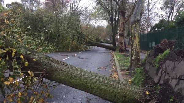 Trees down on Centre Park Road in Cork