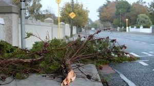 A tree down on the Howth Road in Sutton, County Dublin