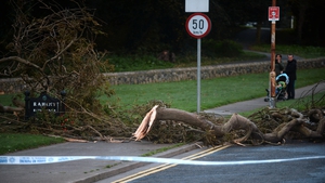 Fallen tree branches on Watermill Road in Raheny, Dublin