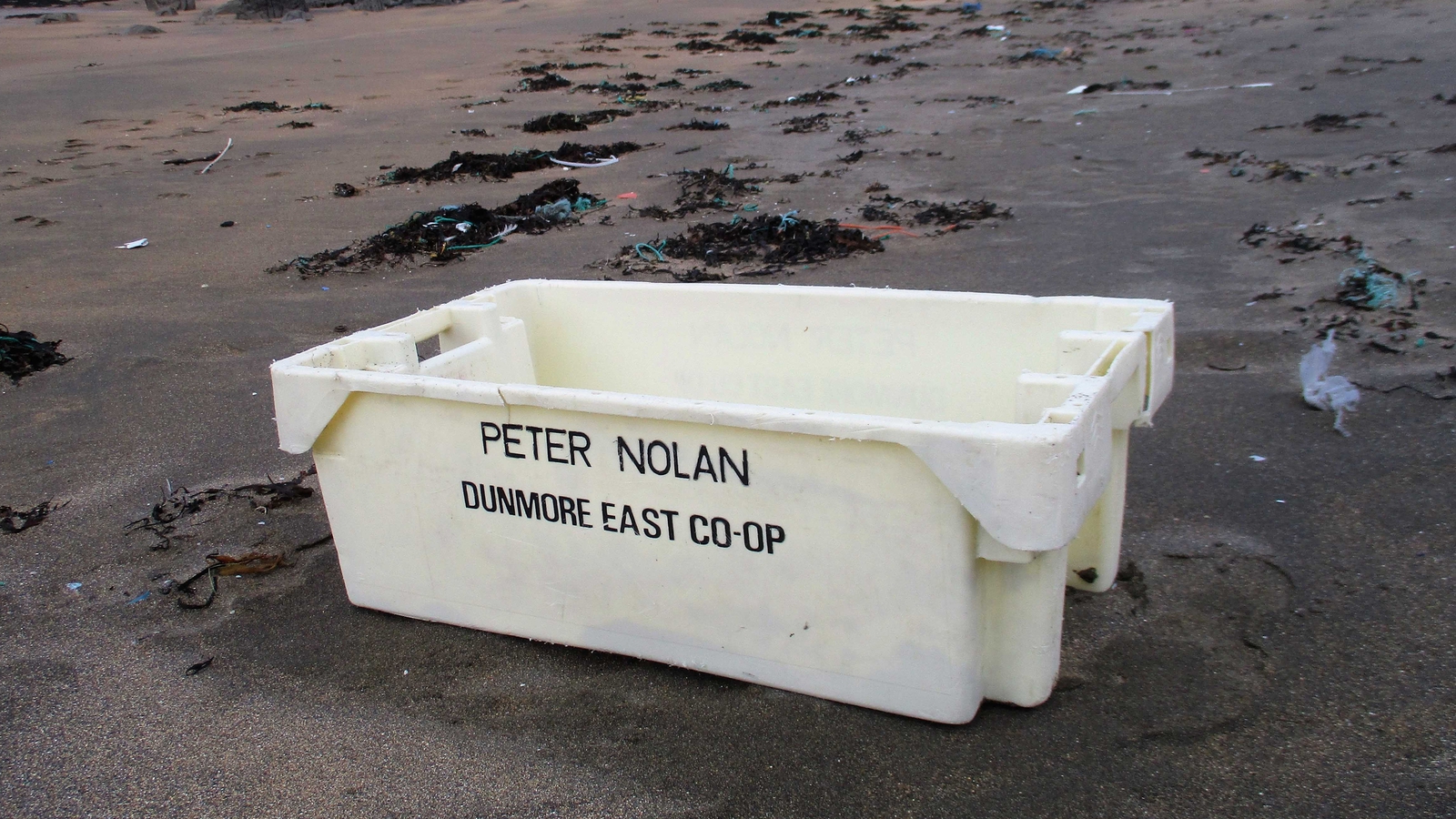Fish Box Washes Up 21 Years After Sinking On Boat