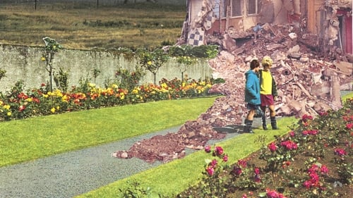Sean Hillen - detail from Evidence of Controlled Demolition in the Rose Garden, Tralee, Co Kerry (2007)