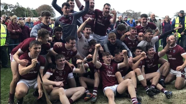 St Martin's are the champions (pic: @StMartinsGAA Twitter)