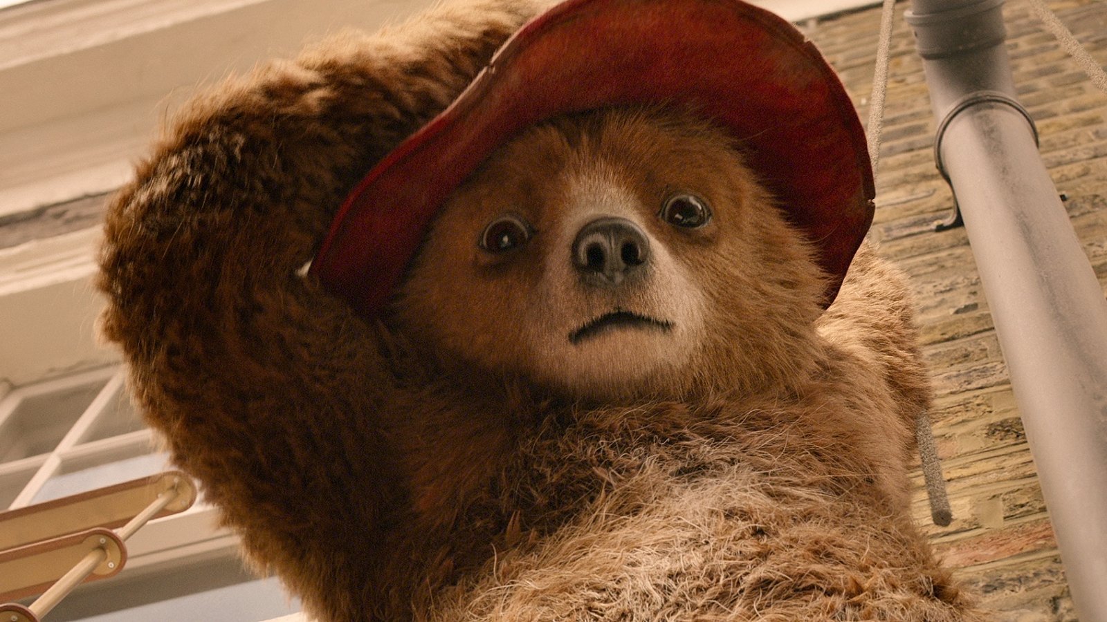 New Paddington Bear Experience to open at London's County Hall in late 2023