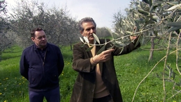 Neven's Italian Food Trails