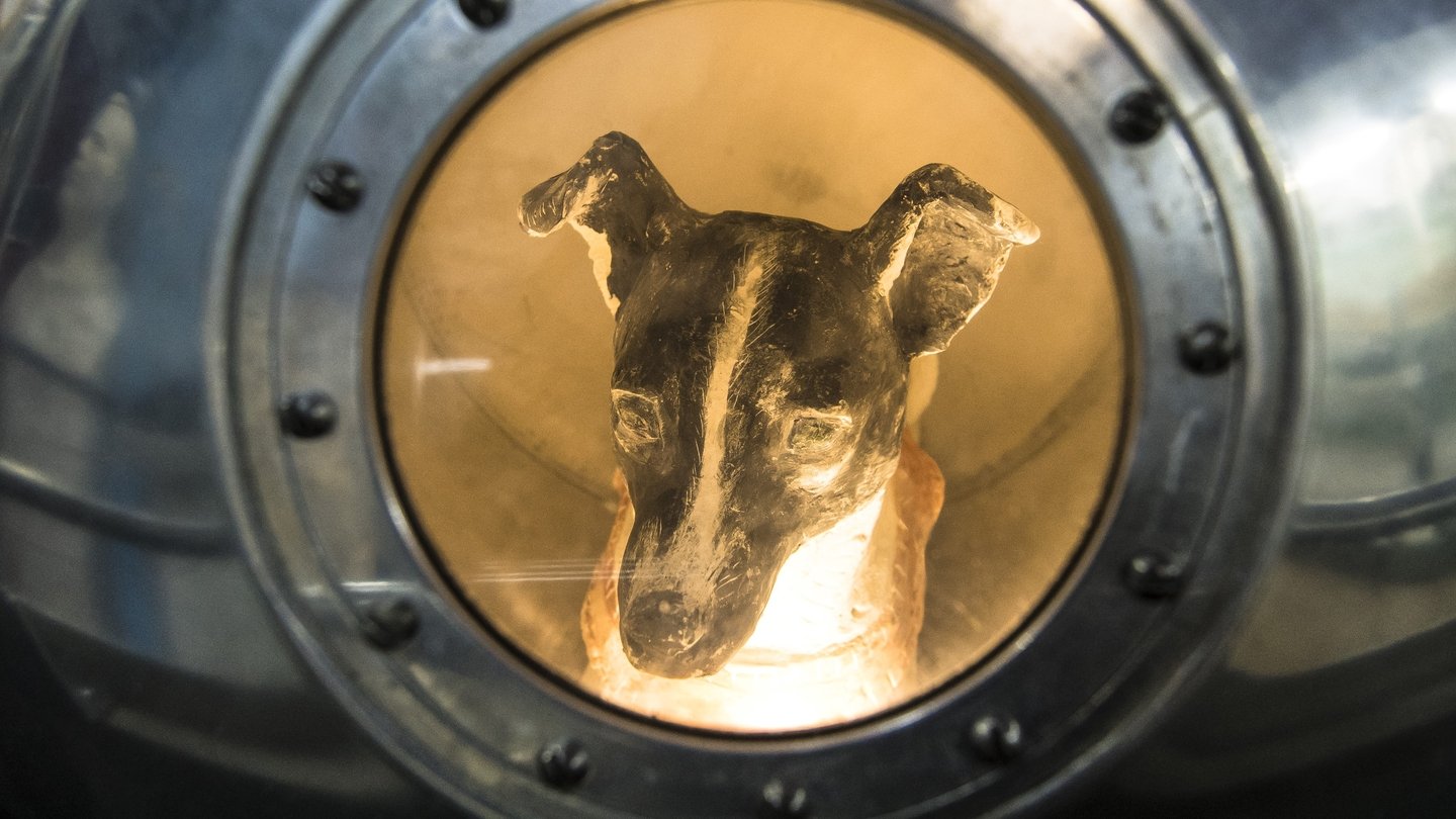 What Happened To Laika, The First Space Dog — A Sacrifice To