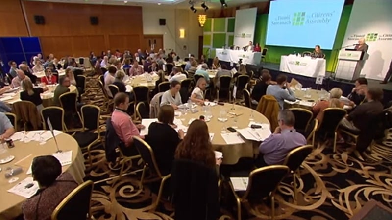 The assembly is considering ways in which Ireland can become a leader in tackling climate change